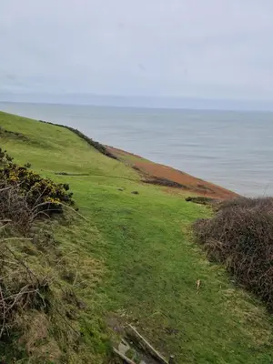 a grassy hill with the ocean in the background at Harries Lodge ocean in New Quay