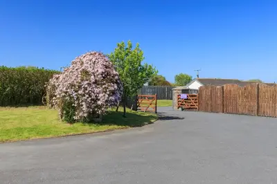 a flowering bush in a yard next to a fence at Seabreeze Aberaeron in Aberaeron