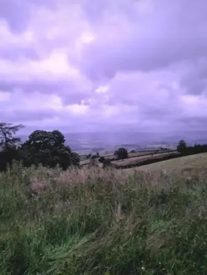 a field with tall grass and trees on a cloudy day at Luxury Stargazing Glamping - Seren Hardd with Hot Tub in Llanidloes