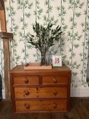 a wooden dresser with a plant on top of it at The Pink House in Brecon