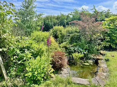 a garden with a pond and many plants at 3 Bed in Brecon oc-93947 in Llanywern