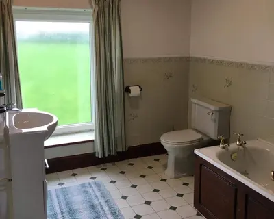 a bathroom with a toilet and a sink and a window at Brynonnen Llangrannog in Llanllwchaiarn