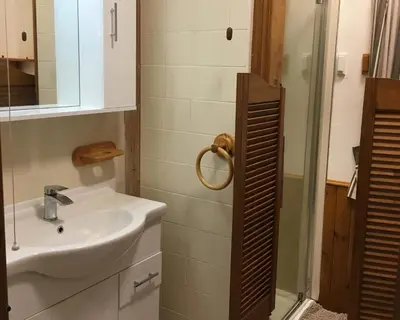 a bathroom with a sink and a shower at Brynonnen Llangrannog in Llanllwchaiarn