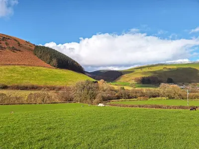 a green field with animals grazing in the grass at Glen Y Nant in Llanfihangel-nant-Melan