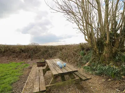 a wooden picnic table with a potted plant on it at Blaenferwig in New Quay