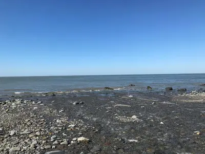 a rocky beach with the ocean in the background at Blaenferwig in New Quay