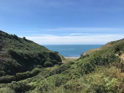 a view of the ocean from the side of a hill at Blaenferwig in New Quay