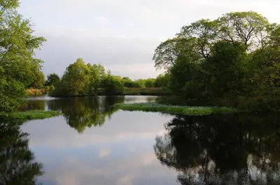 a river with trees and reflections in the water at Bryn Isaf Tregaron in Ystrad-Meurig