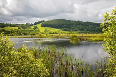 a view of a lake with a hill in the background at Bryn Isaf Tregaron in Ystrad-Meurig