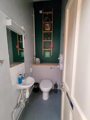 a bathroom with a white toilet and a sink at Kington Accommodation in Kington