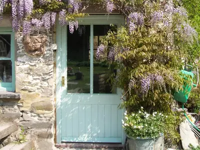 a blue door with a tree with purple flowers at The Old Mill Devils Bridge in Llanilar