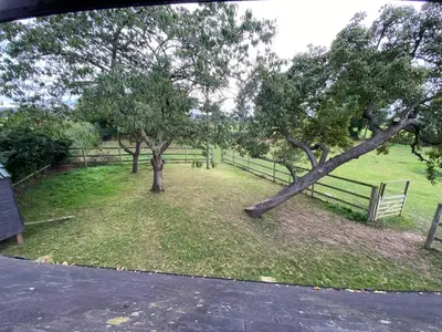 two trees in a field next to a fence at Stunning studio flat with dedicated private garden in Shrewsbury