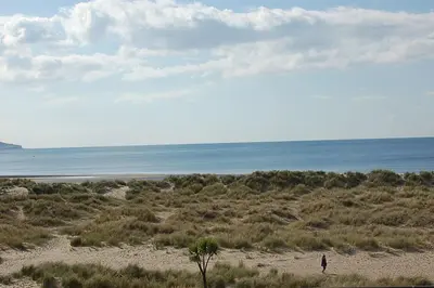 a person standing on a beach near the ocean at Abermaw Sea View Apartment in Barmouth