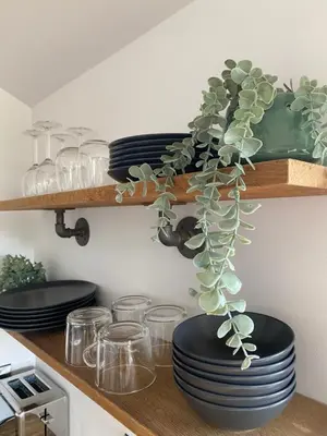a shelf with plates and glasses and a plant on it at Glyndwr Way Cabin in Machynlleth