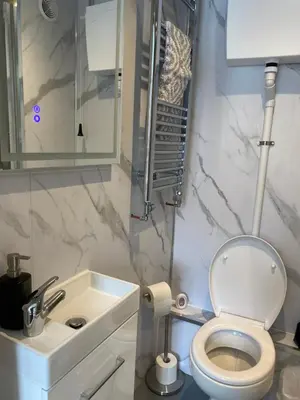 a bathroom with a toilet and a sink at Prince of wales pub and accommodation in Llangollen