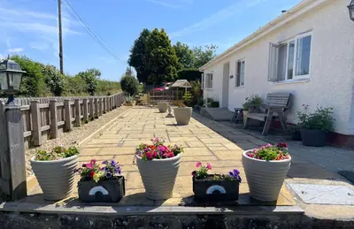 a walkway with flower pots in front of a house at Caerhafod Llangrannog in Llanllwchaiarn