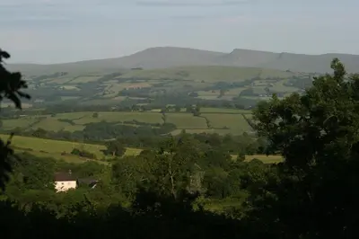a view of a valley with trees and mountains at Creatively converted barn in accessible rural spot in Llanwrda
