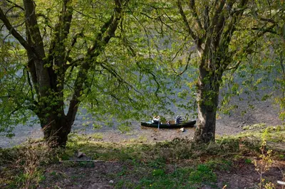 two people in a boat on the water between two trees at Hay Retreats in Hay-on-Wye