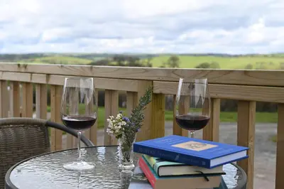 a table with two glasses of wine and books at Cae Dafadd in Newtown
