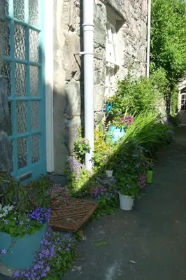 a bunch of flowers in front of a house at 2-Bedroom cottage in Barmouth old town with sea views in Barmouth