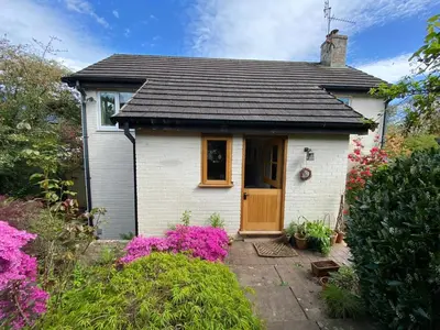 a small white house with a brown door at Tamarisk in Clyro
