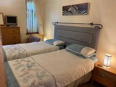 a bedroom with two beds and a television at Quirky Cottage with Private Garden Nr New Quay Cardigan Bay in Llandysul