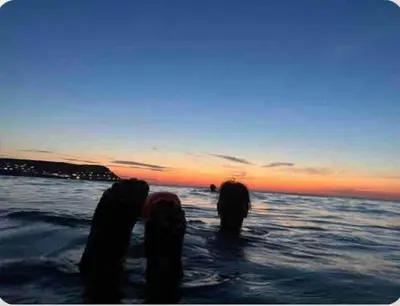 a person standing in the water at sunset at Cottage in the Countryside Near New Quay West Wales in Llandysul