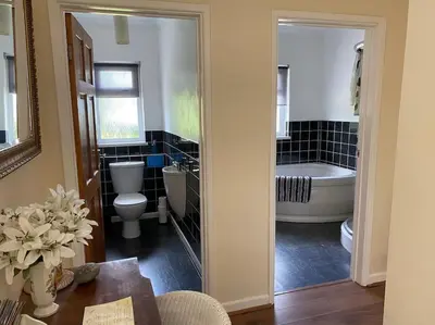 a bathroom with a tub and a toilet and a bath tub at Cottage in the Countryside Near New Quay West Wales in Llandysul