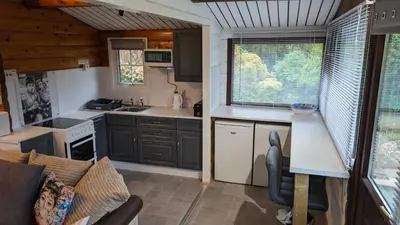 a kitchen and living room in a tiny house at Snowdonia Log Cabin 2 in Trawsfynydd