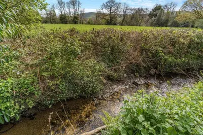 a muddy ditch with bushes next to a field at 1 Bed in Cilycwm oc-t29297 in Cilycwm