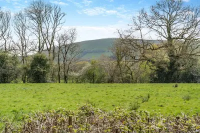 a field of green grass with trees in the background at 1 Bed in Cilycwm oc-t29297 in Cilycwm