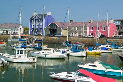 a group of boats docked in a harbor with houses at Horseshoe Cottage Aberaeron in Ciliau-Aeron