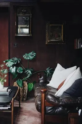 a living room with a leather couch and a plant at Two unique cabins wrapped in beautiful welsh scenery in Presteigne