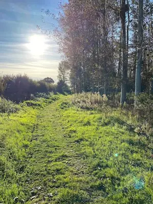 a field of grass with the sun in the background at Serafina Cottage in Leominster