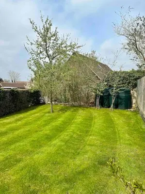a yard with a green lawn with trees in it at Serafina Cottage in Leominster