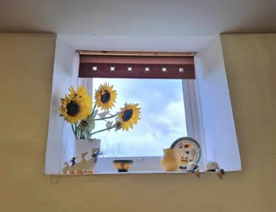 a window with sunflowers on a shelf with a clock at Swn y nant Barmouth road A496 Llanelltyd in Penmaenpool