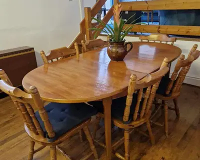 a wooden table with chairs and a potted plant on it at Swn y nant Barmouth road A496 Llanelltyd in Penmaenpool
