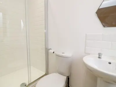 a bathroom with a shower and a toilet and a sink at Tremyfron in Bala