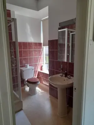a bathroom with a toilet and a sink at Harley's in Aberystwyth