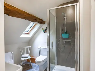 a bathroom with a shower and a toilet at Home Farm Barn in Pontesbury