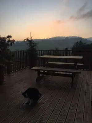 a cat sitting on a deck next to a bench at A Tranquil Retreat for Two in Pont-Robert
