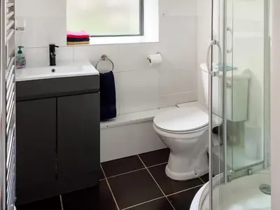 a bathroom with a toilet and a sink and a shower at Heyope Cottage in Llangunllo