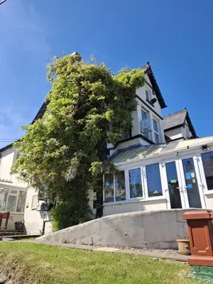a house with a large tree in front of it at The Cambrian in New Quay