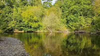 a view of a river with trees in the background at Number 8 Lodge Caer Beris in Maesmynis