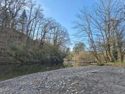 a river with trees on the side of it at Number 8 Lodge Caer Beris in Maesmynis