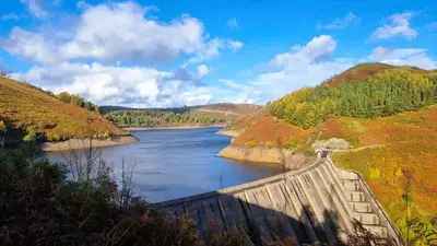 a view of a river with a dam at Awelfa a peaceful cottage in the Cambrian mountains in Llanbrynmair
