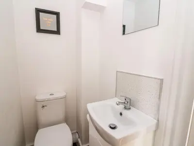 a bathroom with a white toilet and a sink at Field View in Llanybydder