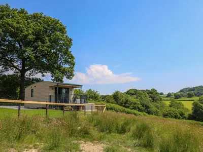 a tiny house in the middle of a field at Hen's Hideaway in Saint Harmon