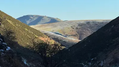 a view of a mountain with a tree in the foreground at Daisys Place at Middle Farm and Cottages in Picklescott