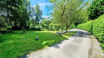 a bird standing on the grass next to a road at The Duck House in Barmouth